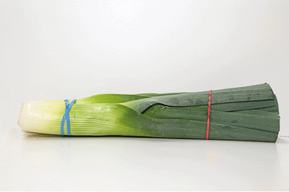 Leek