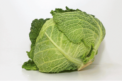 Cabbage Savwy  