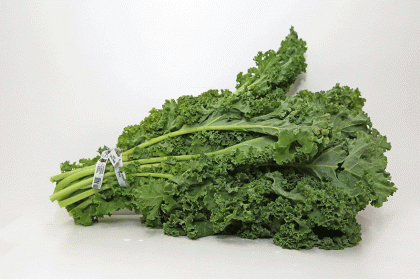 Kale Green Bunch