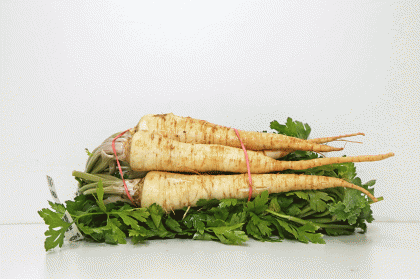 Parsley Root