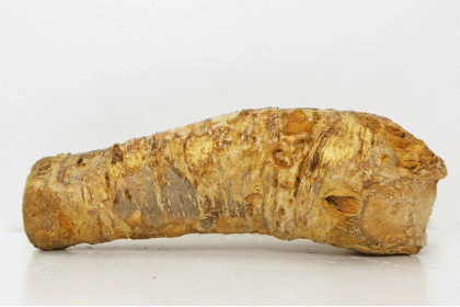 Horseradish $6.99/lb