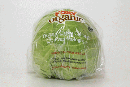 Cabbage Green   Organic