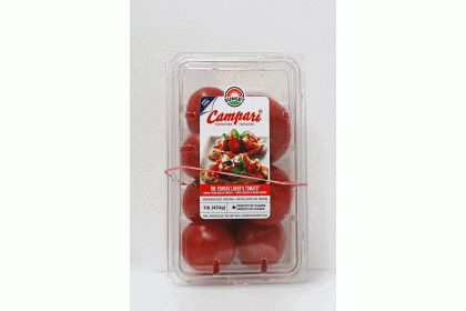 Tomato Campari 