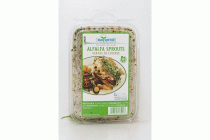 ALFALFA SPROUT