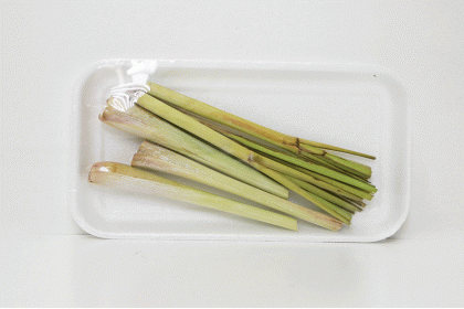 Herb Lemongrass