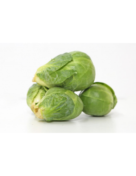 Brussel Sprout