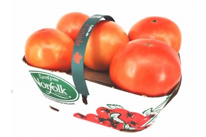 Tomato Field Basket Ontario 