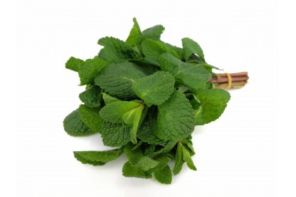 Herb Mint