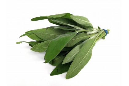 Herb Sage