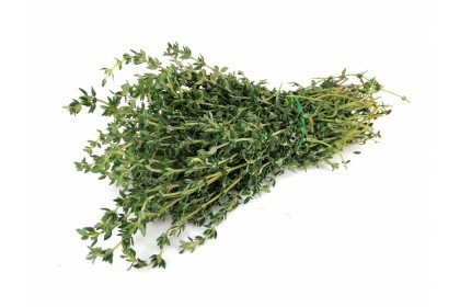 Herb Thyme