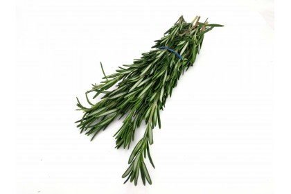 Herb Rosemary