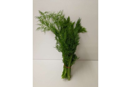 Dill parsley