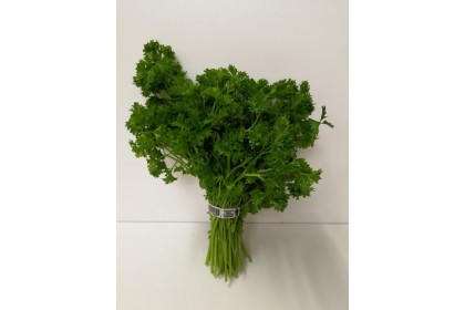 Curly  Parsley 