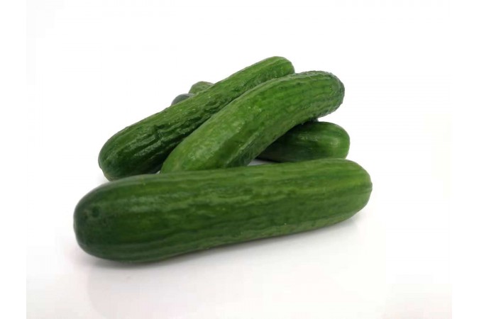 Cucumber English  Mini