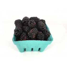 berries blackberries 