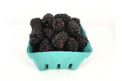 berries blackberries  Larger 